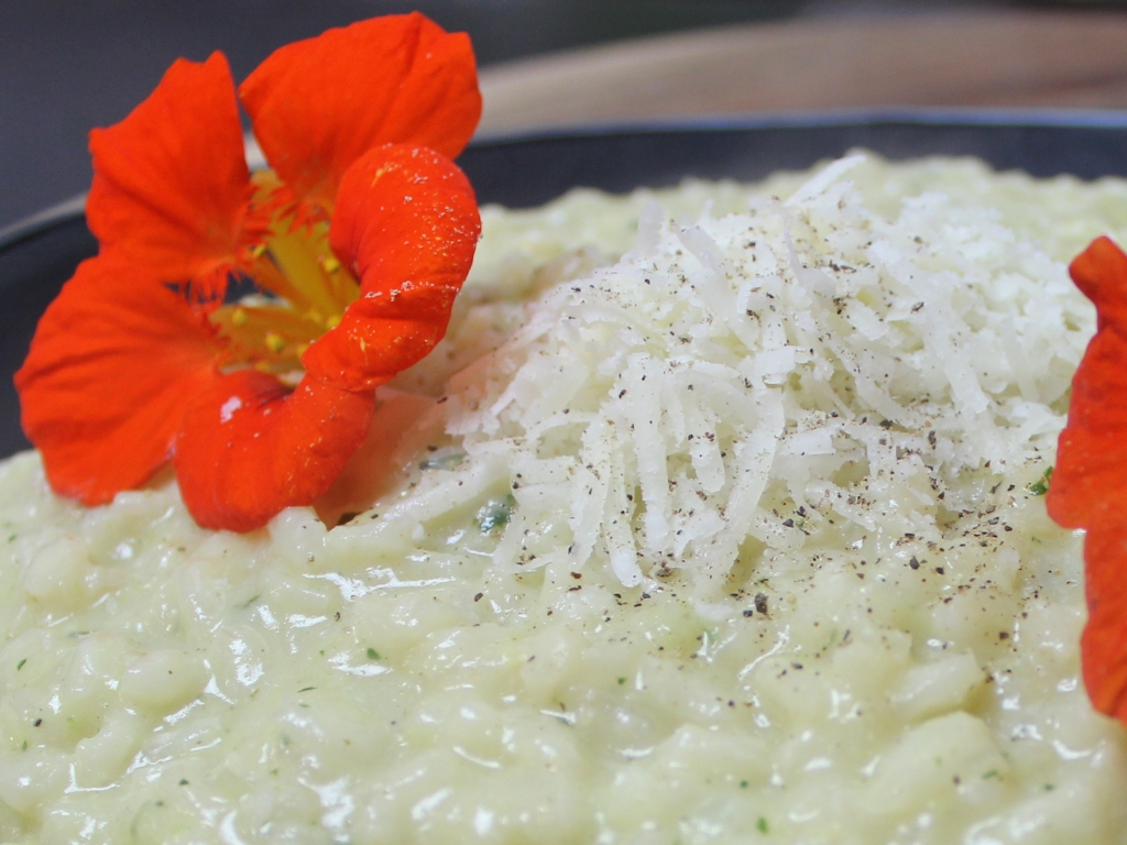 Risotto mit Lauchpürree - Wagners Kulinarium